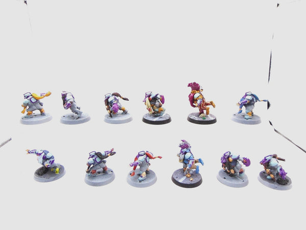 Dwarf Team: The Dwarf Giants