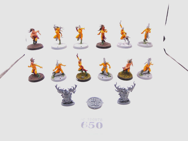 Wood Elf Blood Bowl Team – Athelorn Avengers