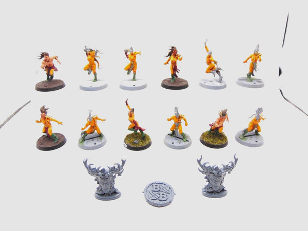 Wood Elf Blood Bowl Team – Athelorn Avengers