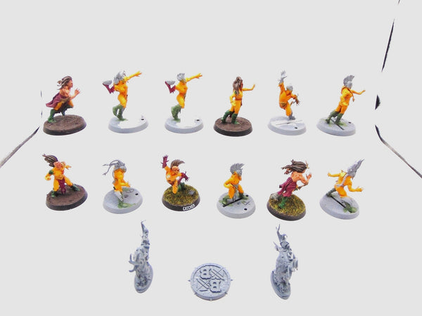 Wood Elf Blood Bowl Team – Athelorn Avengers