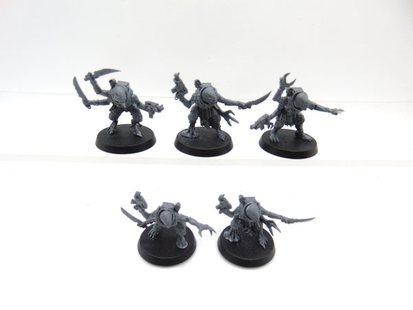 Acolyte Hybrids