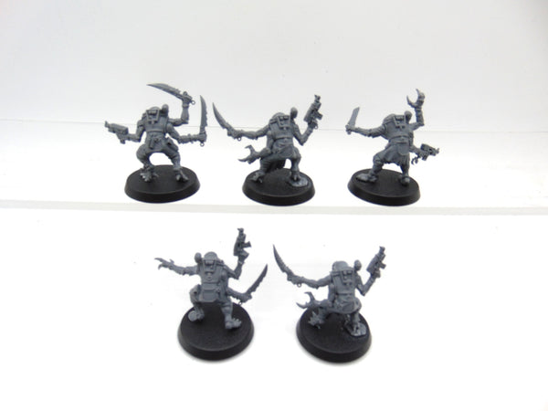 Acolyte Hybrids