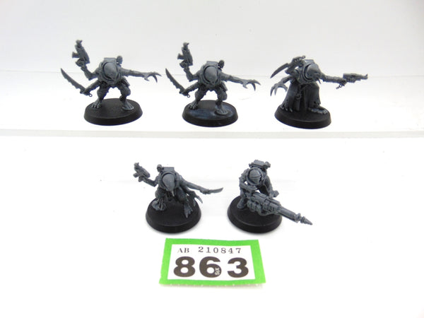Acolyte Hybrids