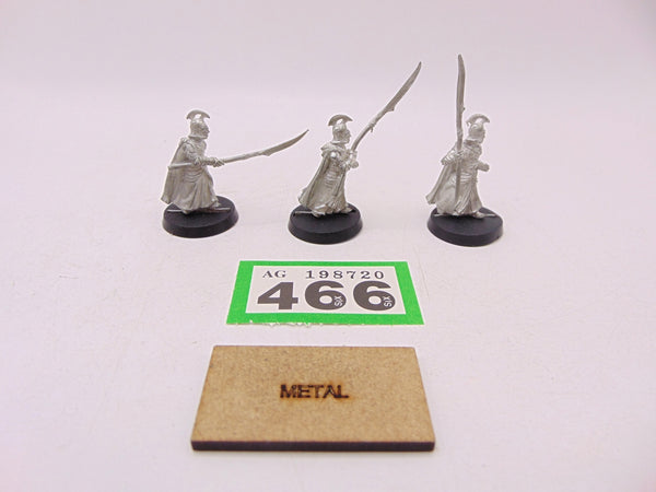 Higg Elf Spearmen