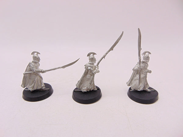 Higg Elf Spearmen