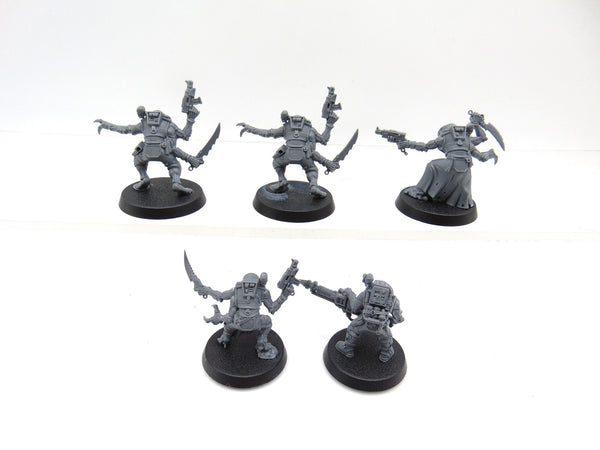 Acolyte Hybrids