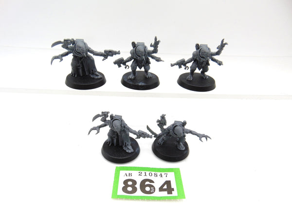 Acolyte Hybrids