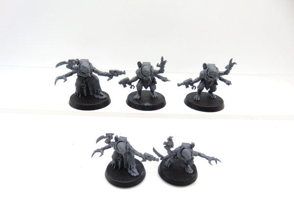 Acolyte Hybrids