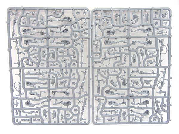 Kroot Carnivores