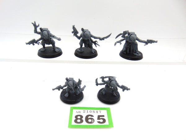 Acolyte Hybrids