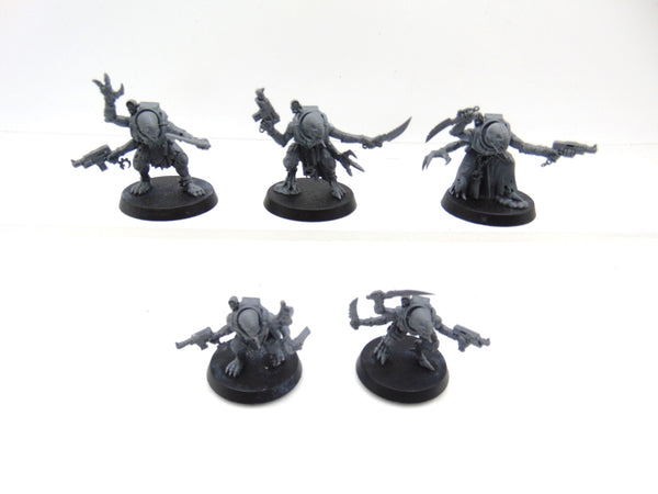 Acolyte Hybrids