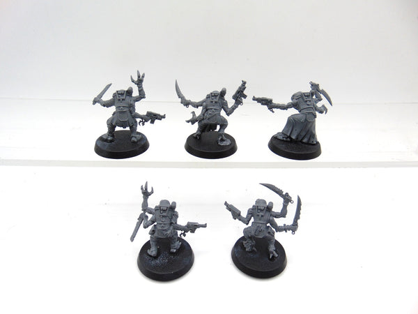 Acolyte Hybrids
