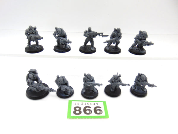 Neophyte Hybrids