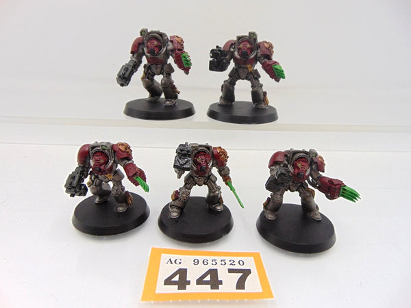 Terminator / Assault Squad