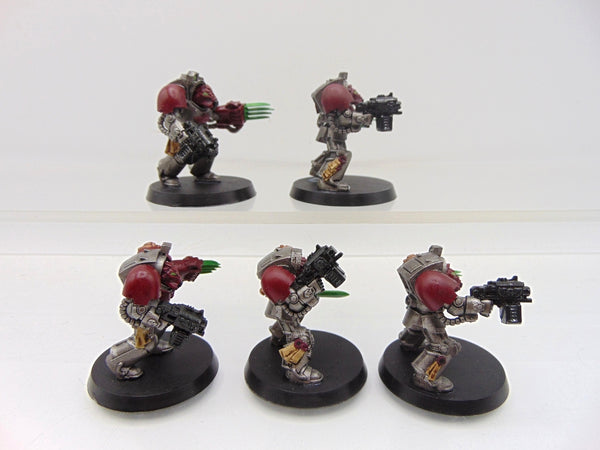 Terminator / Assault Squad