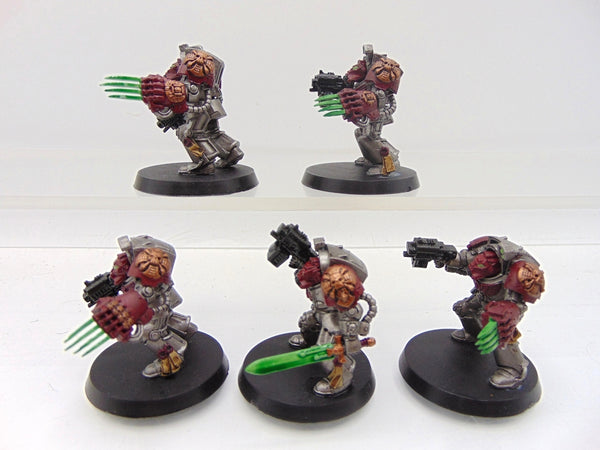 Terminator / Assault Squad