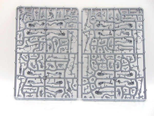 Kroot Carnivores