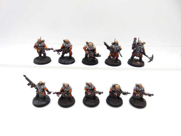 Neophyte Hybrids