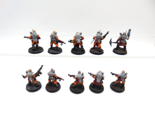 Neophyte Hybrids
