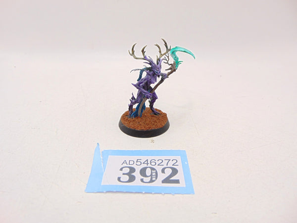 Branchwych