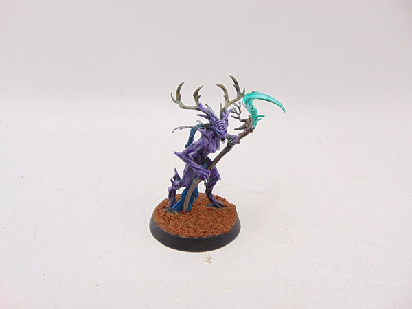 Branchwych