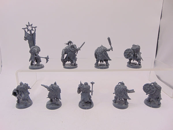 Chaos Marauders