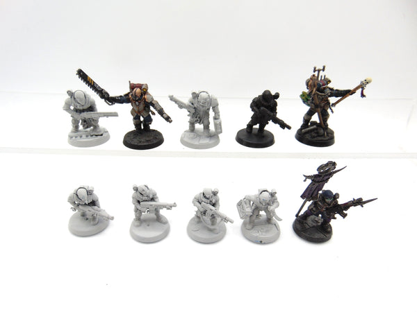 Neophyte Hybrids Conversion