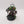 Saturnine Praetor