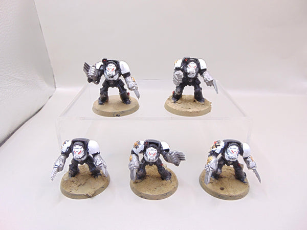 Terminator Assault Squad