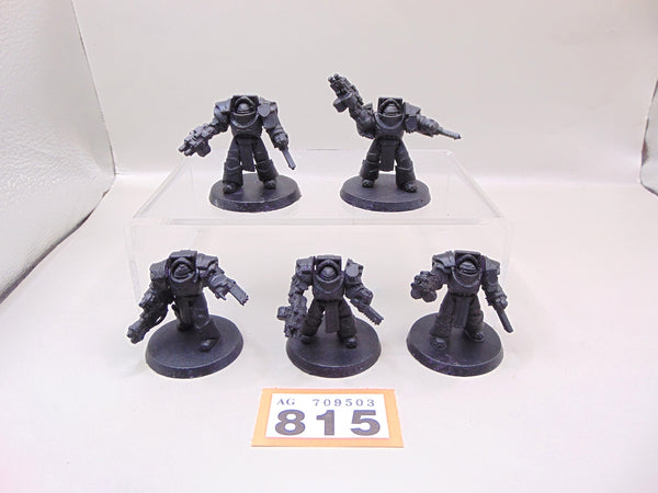 Cataphractii Terminator Squad