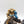 Heavy Intercessors