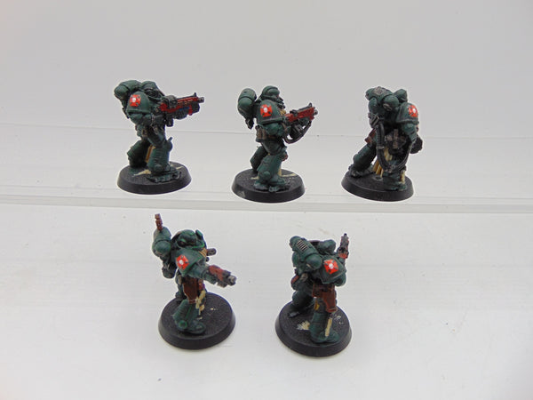 Sternguard Veterans