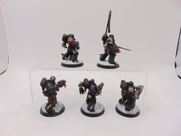 Sternguard Veterans