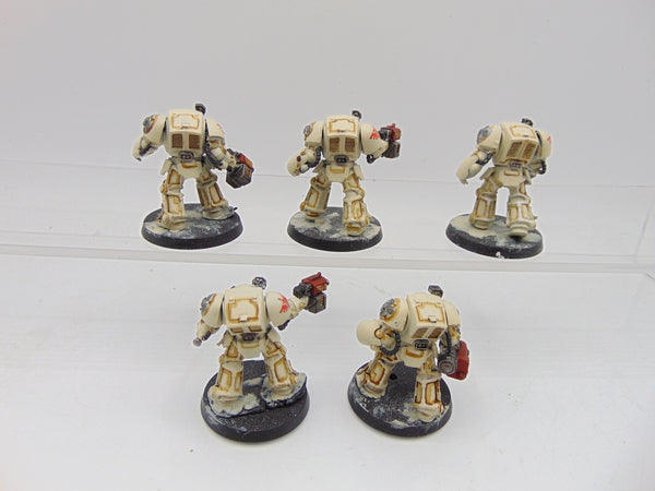 Terminator Squad