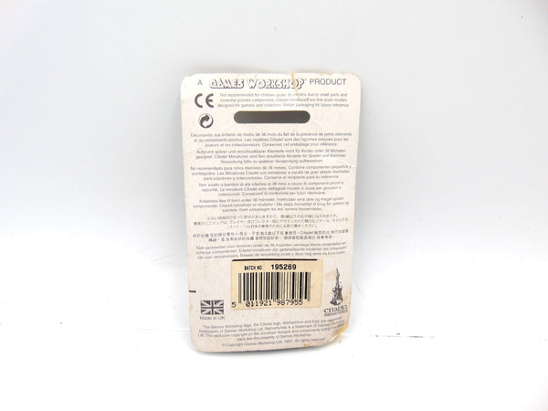 Battle Sister with Heavy Flamer