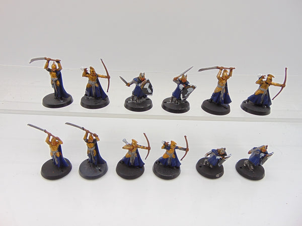 High Elf and Numenor Warriors