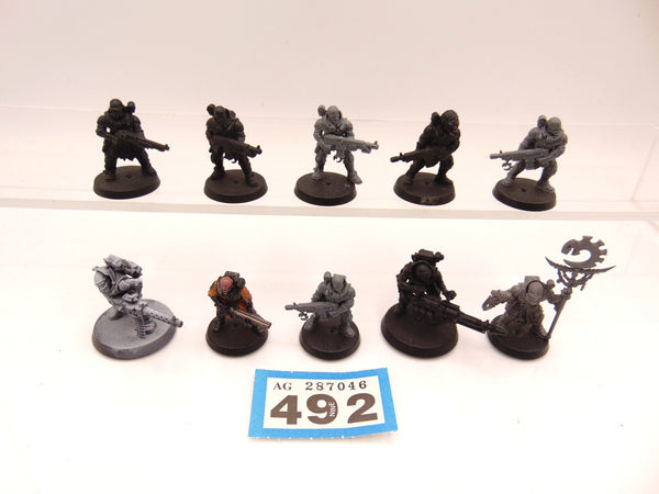 Neophyte Hybrids