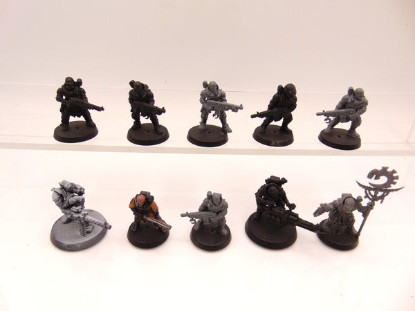 Neophyte Hybrids