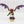 Winged Hive Tyrant