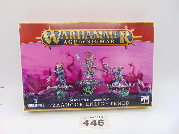Tzaangor Skyfires / Enlightened