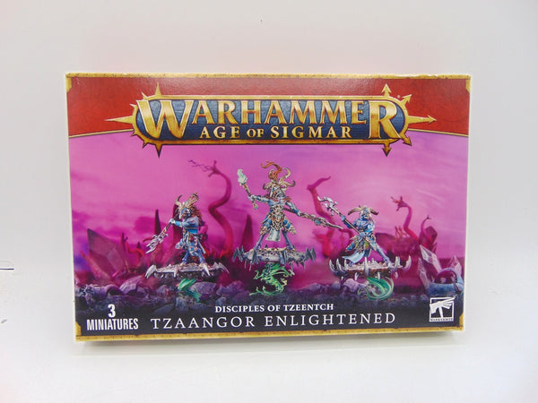 Tzaangor Skyfires / Enlightened