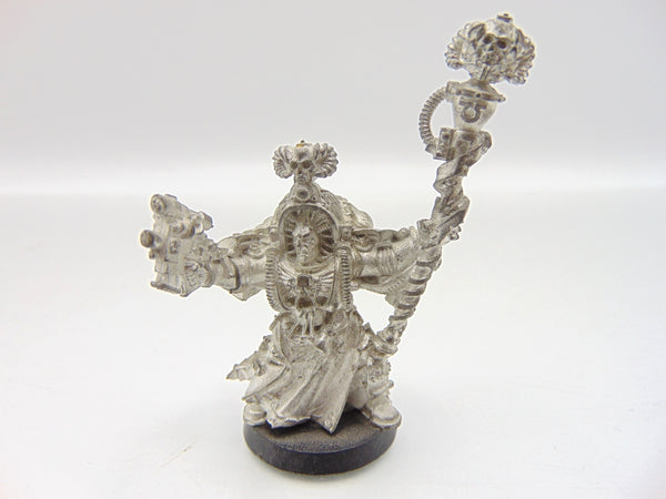 Chief Librarian Tigurius