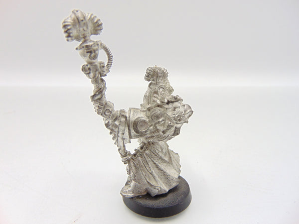 Chief Librarian Tigurius