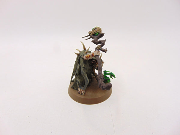 Plague Priest