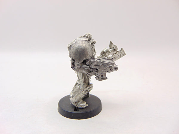 Terminator Librarian