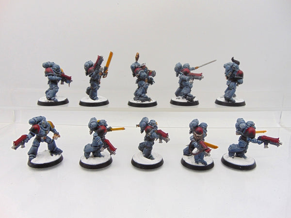 Grey Hunters