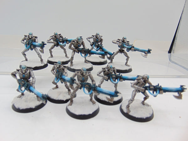 Necron Warriors