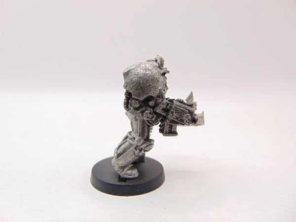 Terminator Librarian