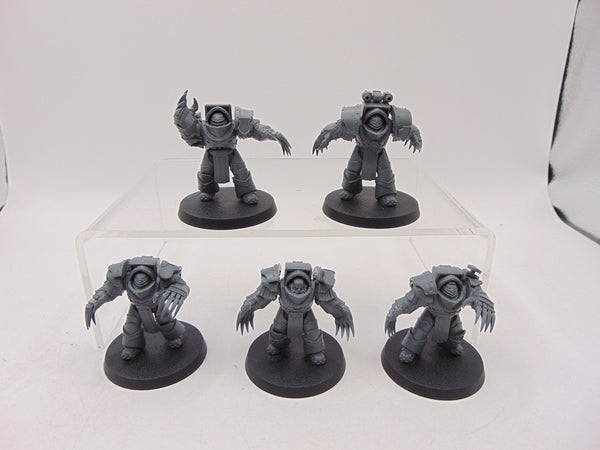 Cataphractii Terminator Squad