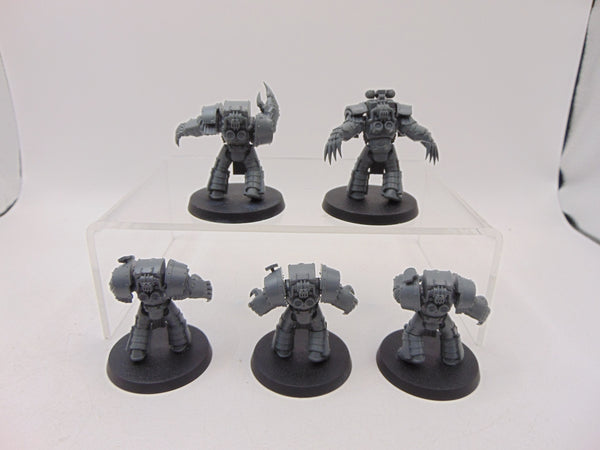Cataphractii Terminator Squad